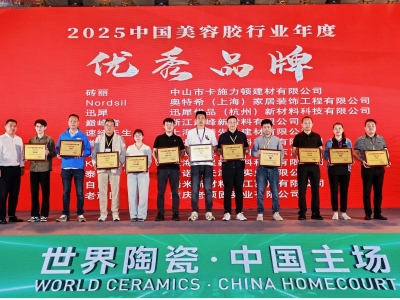 磚麗品牌榮獲2025中國美容膠行業(yè)“優(yōu)秀品牌”、“金牌施工服務企業(yè)”稱號！